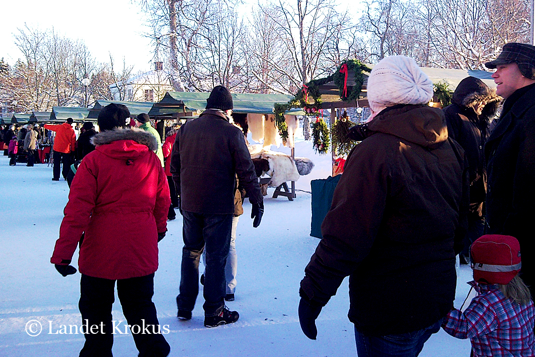 Landet Krokus Gammaldags julmarknad i Högbo bruk